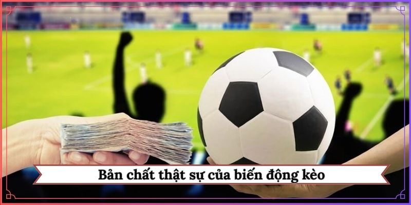Bản chất thật sự của biến động kèo
