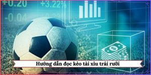 hướng dẫn đọc kèo tài xỉu trái rưỡi