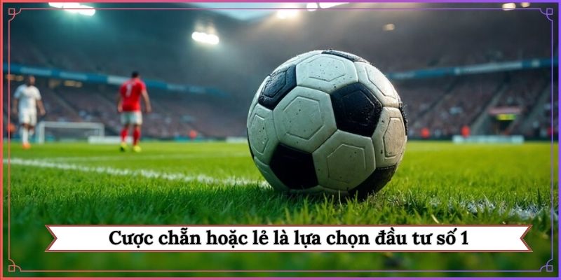 Kèo chẵn/lẻ bùng nổ cơ hội làm giàu nhanh