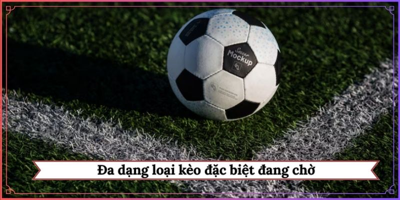Đa dạng loại kèo đặc biệt đang chờ