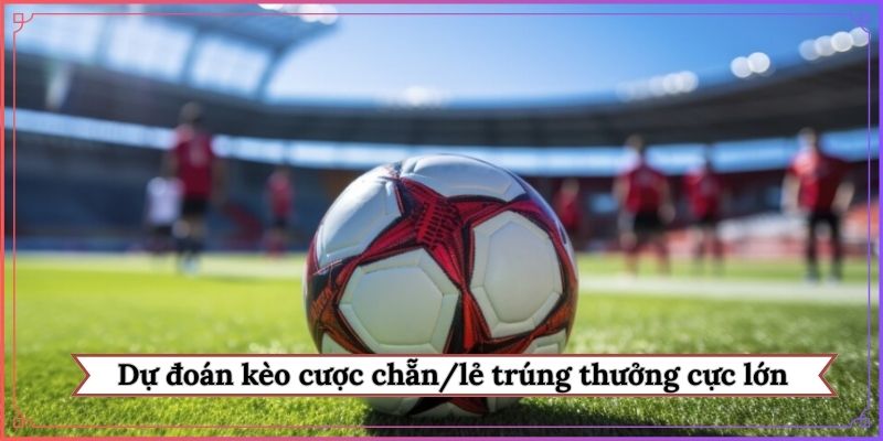 Dự đoán kèo cược chẵn/lẻ trúng thưởng cực lớn
