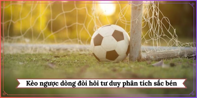 Kèo ngược dòng đòi hỏi tư duy phân tích sắc bén