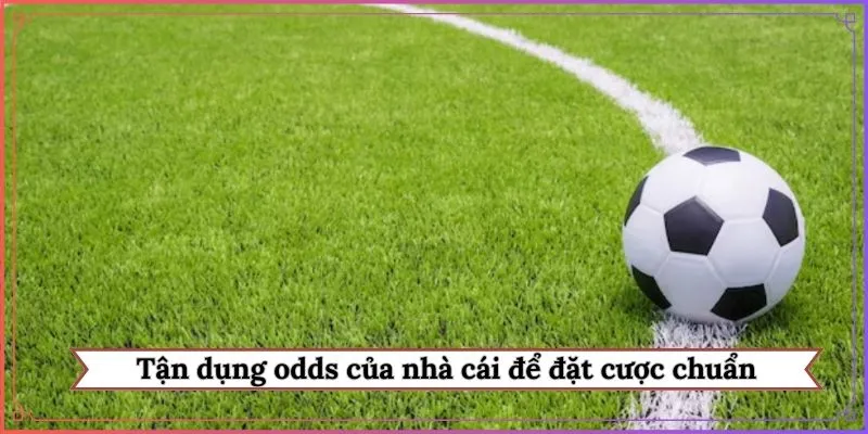 Tận dụng odds của nhà cái để đặt cược chuẩn
